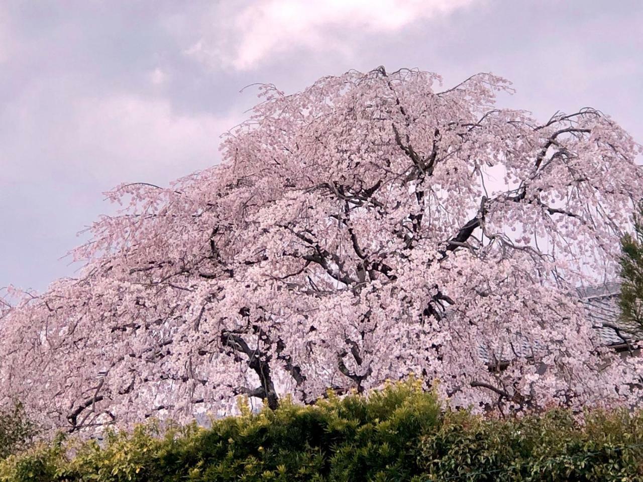 Hostel Kyoto Arashiyama Muko ภายนอก รูปภาพ