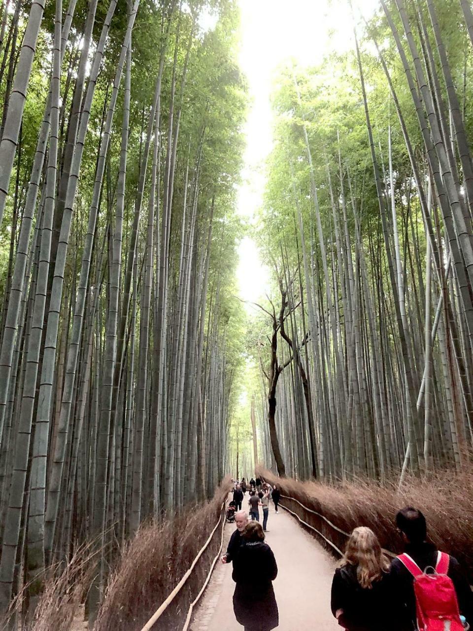 Hostel Kyoto Arashiyama Muko ภายนอก รูปภาพ